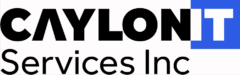 Caylone I.T. Services Logo